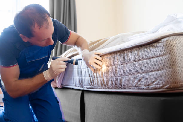 Best Fumigation Services  in San Clemente, CA